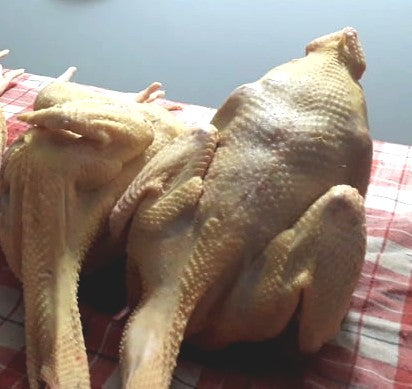 Tisztított csirke egészben -1,5-1,7 kg